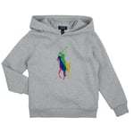 Sweat-shirt enfant Polo Ralph Lauren  PO HOOD-KNIT SHIRTS-SWEATSHIRT