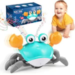 iKidiki Crabe Qui Marche Bebe, Jouet Garcon 1 2 3 4 Ans Jouet Montessori Bebe 6-12 Mois Cadeau Enfant 1 2 3 4 Ans Fille Crabe Jouet Bebe 1 2 3 4 Ans Jeu Exterieur Enfant 1 2 3 4 Ans Jouets Musicaux