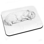 Tapis de souris Dessin lapin mignon illustration enfant beatrice potter