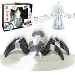 Remote Control RC Spider Robot Toy Dynamic Spray LED Lights Music Sound Game