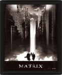 Pan Vision The Matrix 3D juliste (Lightfall)