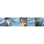 National Geographic Kids, Dolphin Wallpaper Border