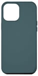 Coque pour iPhone 13 Pro Max Bleu vert mousse