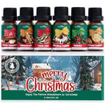 Christmas Fragrance Oils, SNOWSEN Winter Holiday Essential Oil Set for Diffuser, Candle,Soap Making, Candy Cane, Mistletoe, Christmas Pudding, Apple Cinnamon, Gingerbread, Almond Cookies