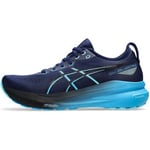 Chaussures Asics  Gel-Kayano 31