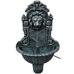 Vidaxl Fontaine Murale Design De Tête De Lion