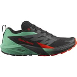 Salomon Sense Ride 5 Homme