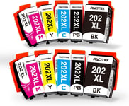 202 XL Cartouches Compatible avec Epson 202 202XL Encre Multipack pour Expression Premium XP-6000 XP-6005 XP-6100 XP-6105 XP6000 XP6005 XP6100 XP6105(10er-Pack)(Q908)