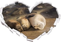 KAIASH 3d Wall Sticker Family of three little sea lions in the sun, heart shape in 3D look wall or door sticker wall sticker wall sticker wall decoration 62x43cm