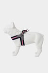 Easy Walk Step In Pet Dog Harness