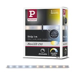 Paulmann 79878 MaxLED 250 Bande lumineuse en plastique avec revêtement IP44 4 W 270 lm Blanc tunable à intensité variable 2700 K, 1m