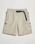 The North Face NSE Shorts Clay Grey