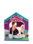 Furreal My Minis 15 Cm - Kitty Toys Interactive Animals & Robots Interactive Animals Multi/patterned FurReal