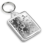 IP02 Passport Keyring BW - Molecule Science Physics  #39278