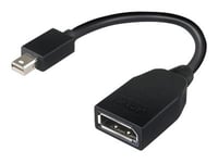 Lenovo - Displayport-Adapter - Mini Displayport (Hane) Till Displayport (Hona) - 17.6 Cm - För Thinkcentre M70  M75t Gen 2  M80  M90  Thinkstation P330 Gen 2  P34x  P350  P520  P620