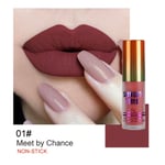 (1Meet By Chance)Matte Lip Gloss Non- Moisturizing Long Lasting Lip BG