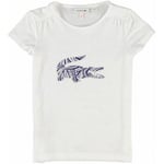 T-shirt enfant Lacoste  TJ5959