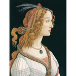 Botticelli Idealized Portrait Of A Lady As Nymph Large Wall Art Print Canvas Premium Poster Mural