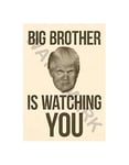 Wee Blue Coo Donald Trump Big Brother Is Watching You Wall Art Print