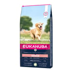 Eukanuba Dog Senior Large Breed Lamb & Rice (12 kg)