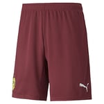 Puma BVB GK Shorts Replica