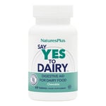 NaturesPlus Say Yes to Dairy - Natural Lactase Enzyme Supplement, High Strength, Lactose Intolerance Relief - Gluten Free, Vegan - 60 Chewable Tablets