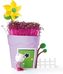 Peppa Pig PP104 Peppa Pots Sheep Suzy Kids Animal  Insect Habitat Kits, Multi