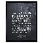 Acts 4:12 Salvation is Found In No One Else Christian Bible Verse Quote Scripture Typography Art Print Framed Poster Wall Decor 12x16 inch