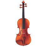 V20SG Violon 4/4