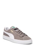 PUMA Suede Classic Grå