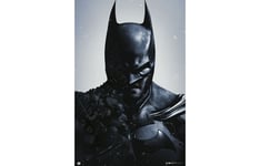 Poster Batman Arkham Origins