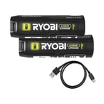 Ryobi RB4L30X2 3.0 Ah USB-C Lithium™ Power Bank