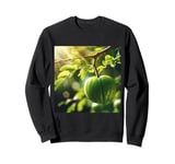 Really Like Amla Fruit Indian Gooseberry Sweatshirt