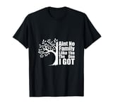 Ain't No Family Like The One I Got Funny Family Reunion T-Shirt