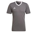 adidas Entrada 22 Jersey (Short Sleeve) Homme, Team Grey Four, 3XL