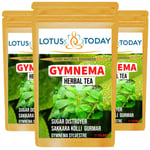 Herbal Tea Gymnema Gurmar Detox Tea Diabetic Diet Weight Management 60 Tea Bags