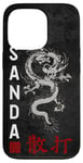 iPhone 13 Pro Dragon Sanda Chinese Boxing Case