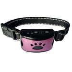 3 In1 Collier anti-aboiement pour chien Dispositif d'aboiement excessif Sûr Inoffensif & Formation anti-aboiements sans cruauté - Violet