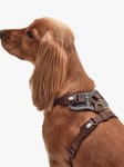 Barbour Tartan Adjustable Dog Harness, Multi