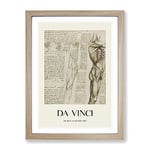 Human Anatomy Vol.6 By Leonardo Da Vinci Exhibition Museum Painting Framed Wall Art Print, Ready to Hang Picture for Living Room Bedroom Home Office Décor, Oak A2 (64 x 46 cm)