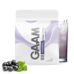 Gaam Clear Whey 400 G Blackcurrant