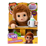 Little Live Pets - My Baby Monkey Mango - Interactief Aapje - Speelgoed aap - In