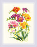 RIOLIS Broderie au point de croix compté Parfum Freesias 25 cm x 33 cm 18 fils