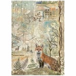 Stamperia Decoupage Papper - Forest Fox