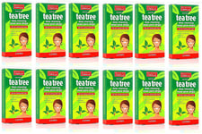 Beauty Formulas Tea Tree Deep Cleansing Nose Pore 6 Strips (12 x Boxes)