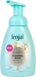 Fenjal Classic Foam Soap 250ml 