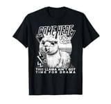 Come Here This Llama Ain't Got Time For Drama Llamas T-Shirt