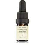 Smells Like Spells Essential Oil Labdanum essential oil 5 ml