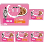 PURINA One Junior Effilés en Sauce Saveurs Assortis Saumon et Poulet pour Chatons | Sachets Repas 8 x 85g (Lot de 5)