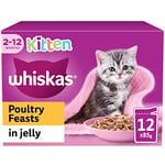 Whiskas Junior Poultry Selection in Jelly 48 x 85 g Pouches, Kitten Cat Food, Pack of 4 (12 x 85 g)